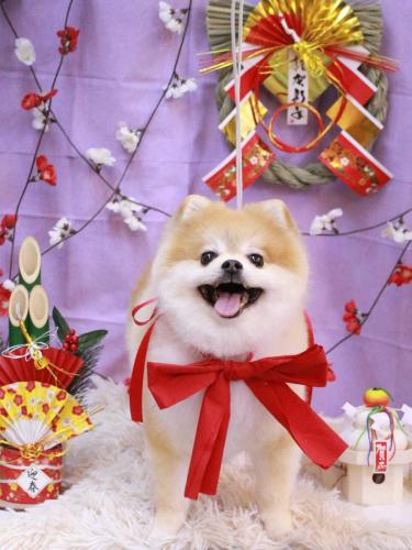 20230114モコくん